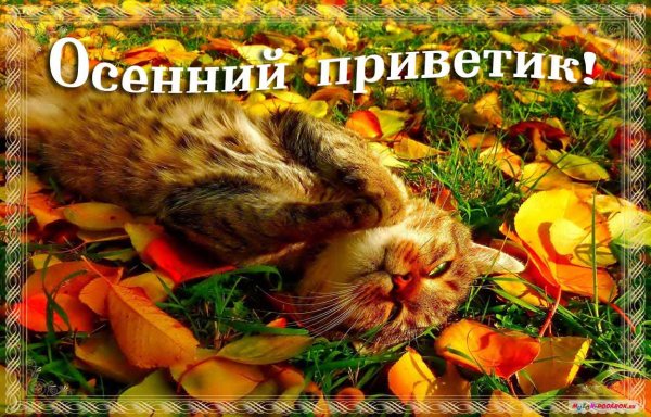 Теплый осенний приветик