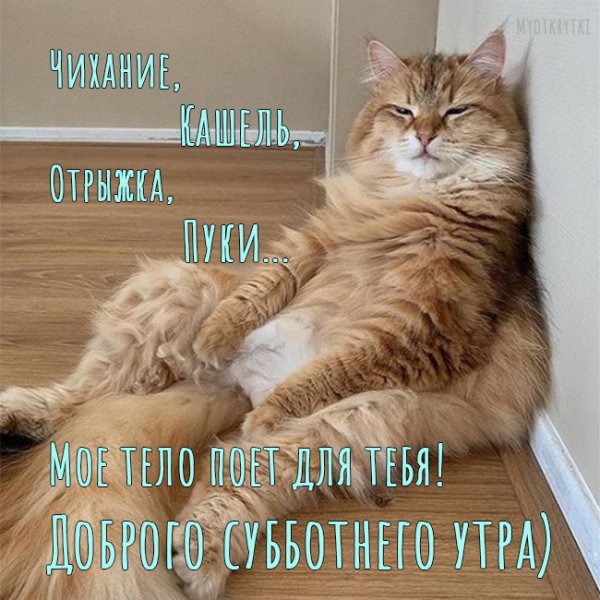 С добрым субботним утром прикольные