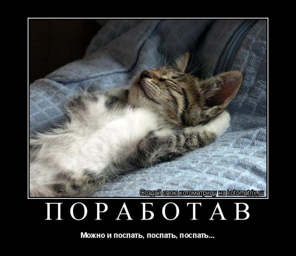 Кот в субботу