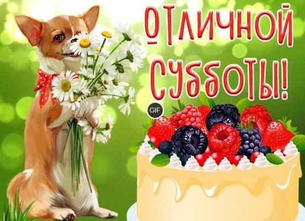 Поздравления с субботой прикольные