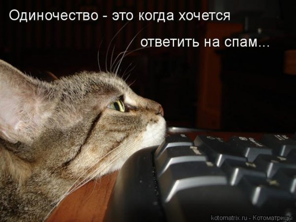Открытка пришла суббота
