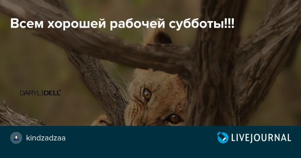 Хорошей рабочей субботы рабочей