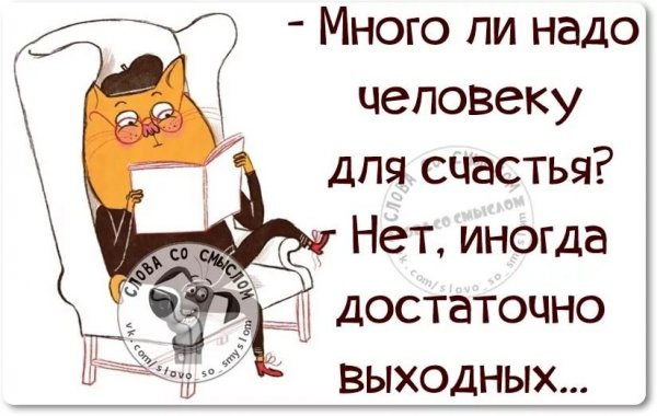 Цитаты выходного дня смешные