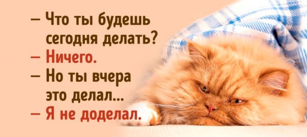 Фразы про выходные