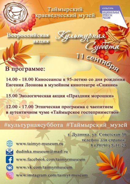 Проект культурная суббота