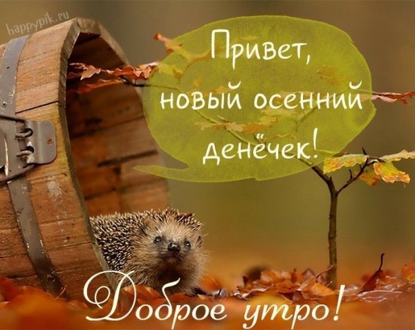 С добрым осенним утром
