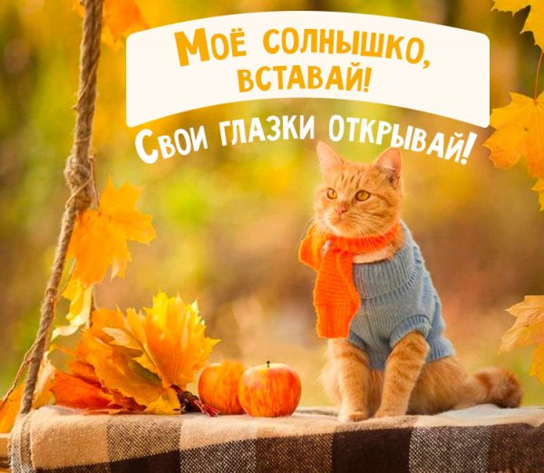 Осенние поздравления с добрым утром