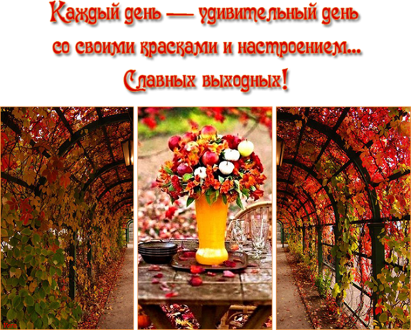Замечательных осенних выходных