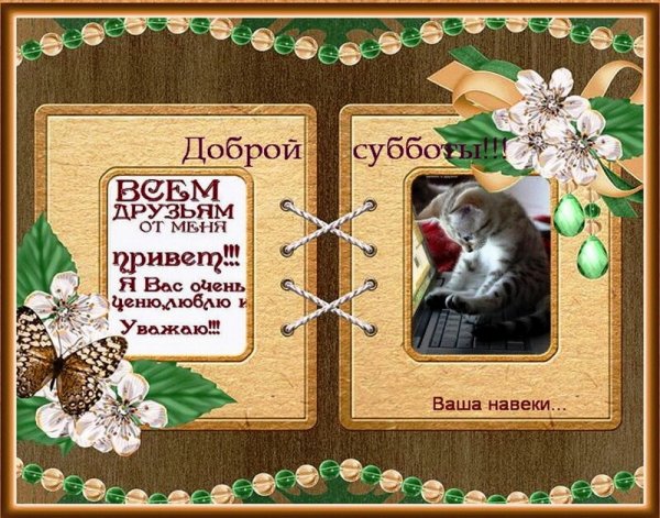 Открытки хорошей субботы прикольные