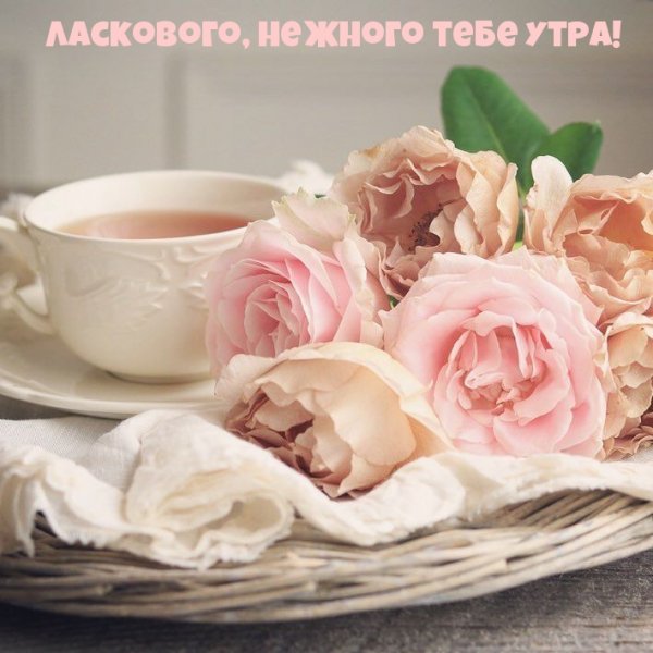 Нежные пожелания доброго утра