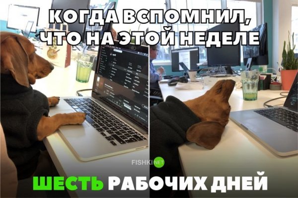 Рабочая суббота