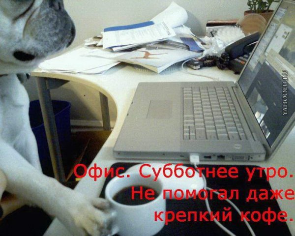 Рабочая суббота картинки смешные