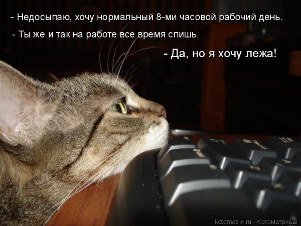 Работа в субботу прикол