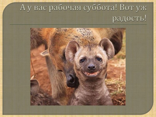 Пятница и рабочая суббота