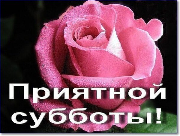 Хорошей субботы и отличного настроения