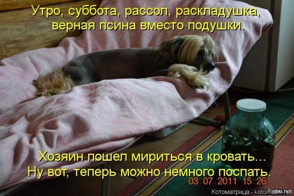 Суббота утро прикол