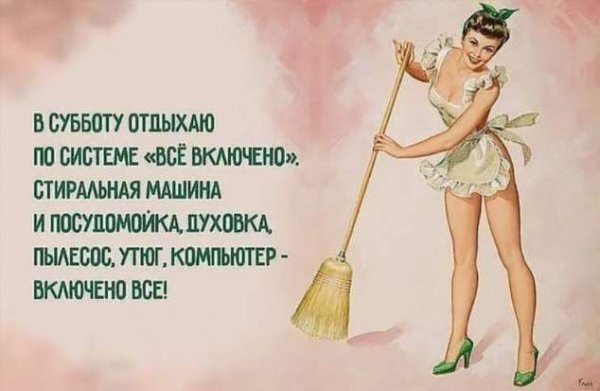 Смешные высказывания про уборку в доме