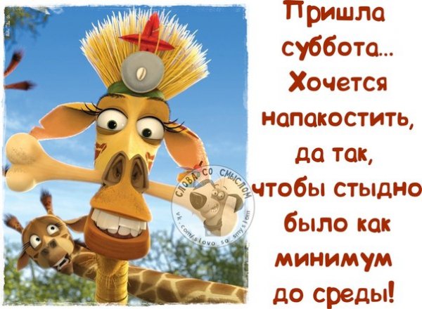 Статусы про субботу прикольные