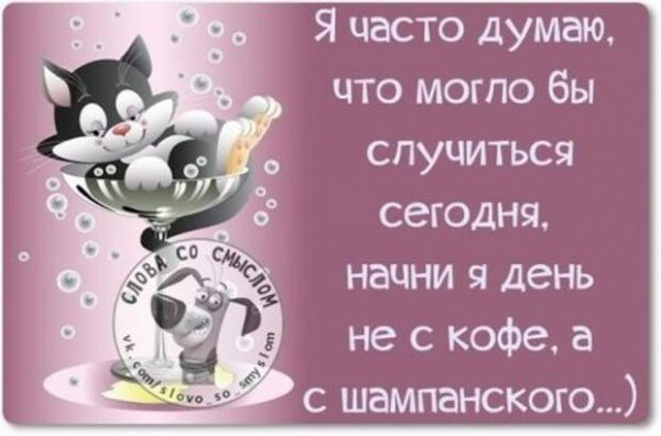 Высказывания про субботу прикольные