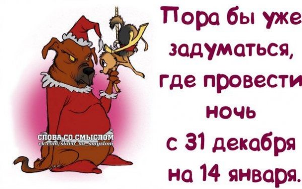 Смешные цитаты про вечер