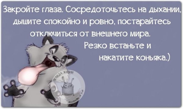 Высказывания про вечер субботы