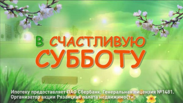 Счастливая суббота туи