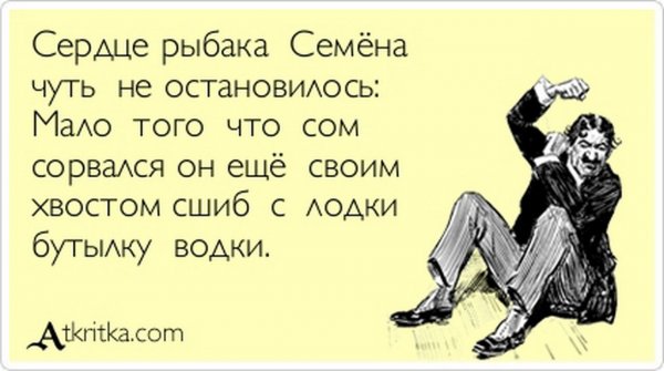 Смешные стихи про Сережу