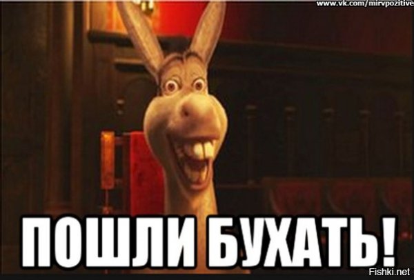 Пошли бухать Мем