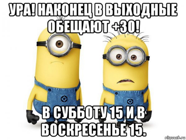 График работы прикол