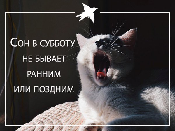 Спокойной ночи завтра суббота