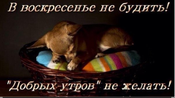 Доброй ночи воскресенья