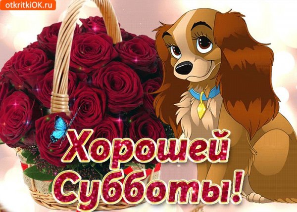 Открытки с субботой прикольные
