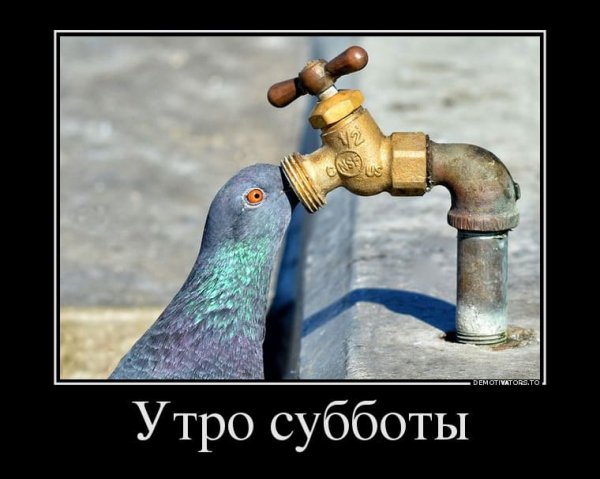 Прикольные демотиваторы