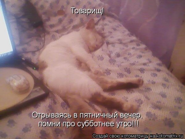 Утро субботы после пятницы