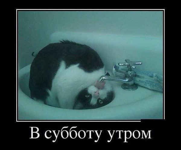 Похмелье демотиваторы