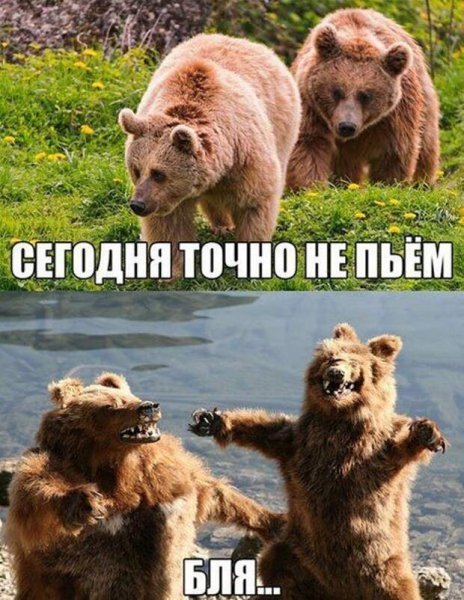 Сегодня точно не пьем