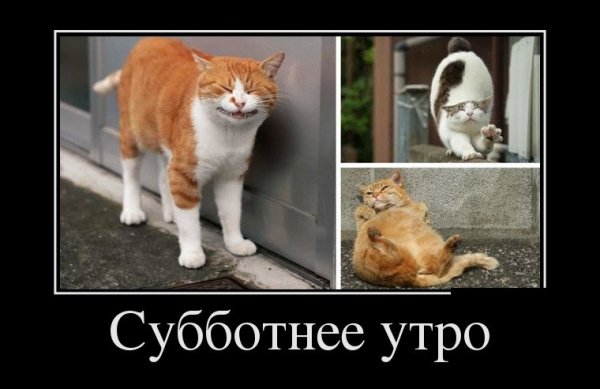 Суббота утро прикол
