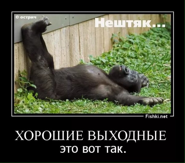 Шутки про выходные
