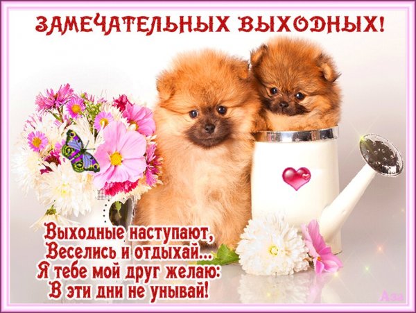 Хорошей субботы и отличного настроения