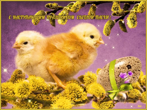 Хороших выходных и отличного настроения