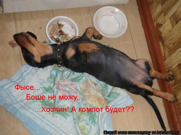 Поесть и поспать