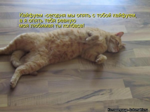 Я сегодня кайфую
