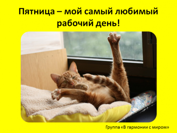 Утро пятницы ура