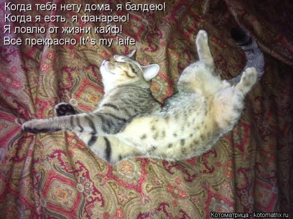 Солнце светит я балдею