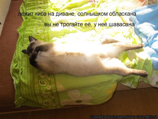 Лежу кайфую