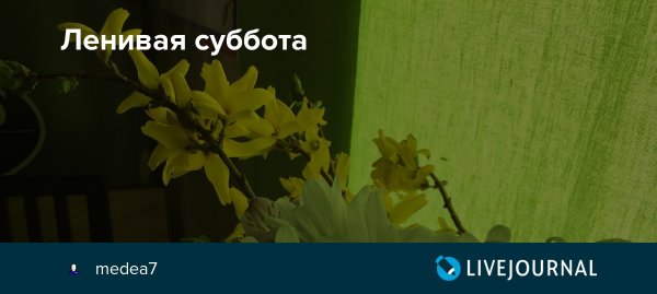 Праздник ленивая суббота