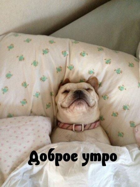 Открытки планы на выходные