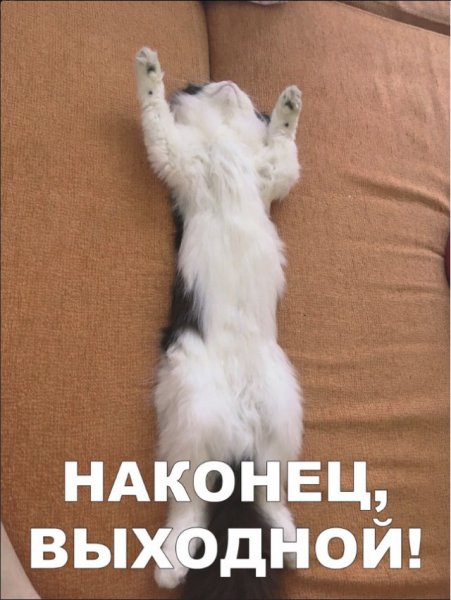 Наконец то выходные
