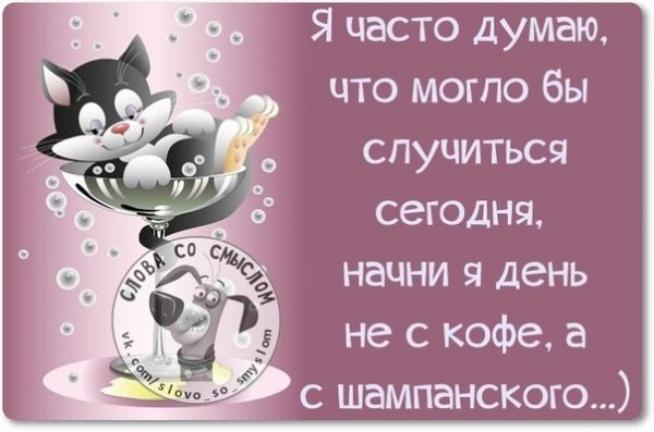 Высказывания про субботу прикольные