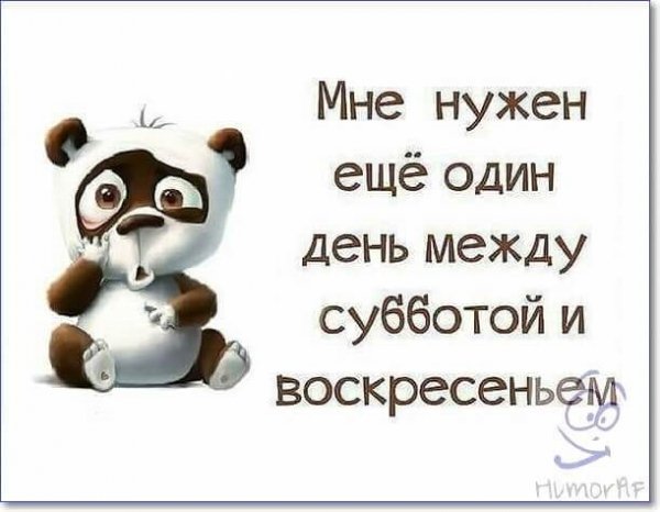 Воскресенье цитаты